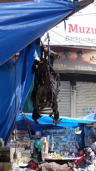 La Paz Steves (26).JPG